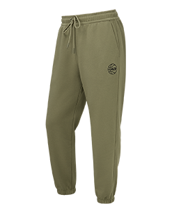Брюки AK Legacy Pants, оливковый