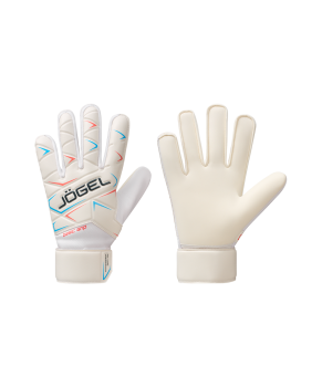 Перчатки вратарские Legend BL3 Flat