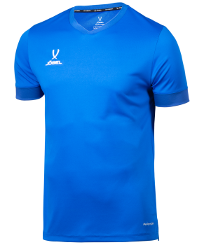 Футболка игровая DIVISION PerFormDRY Union Jersey, детская