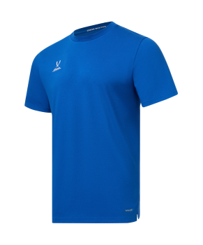 Футболка тренировочная DIVISION PerFormDRY Training CVC