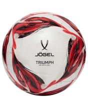 Мяч футбольный Triumph Pro №5